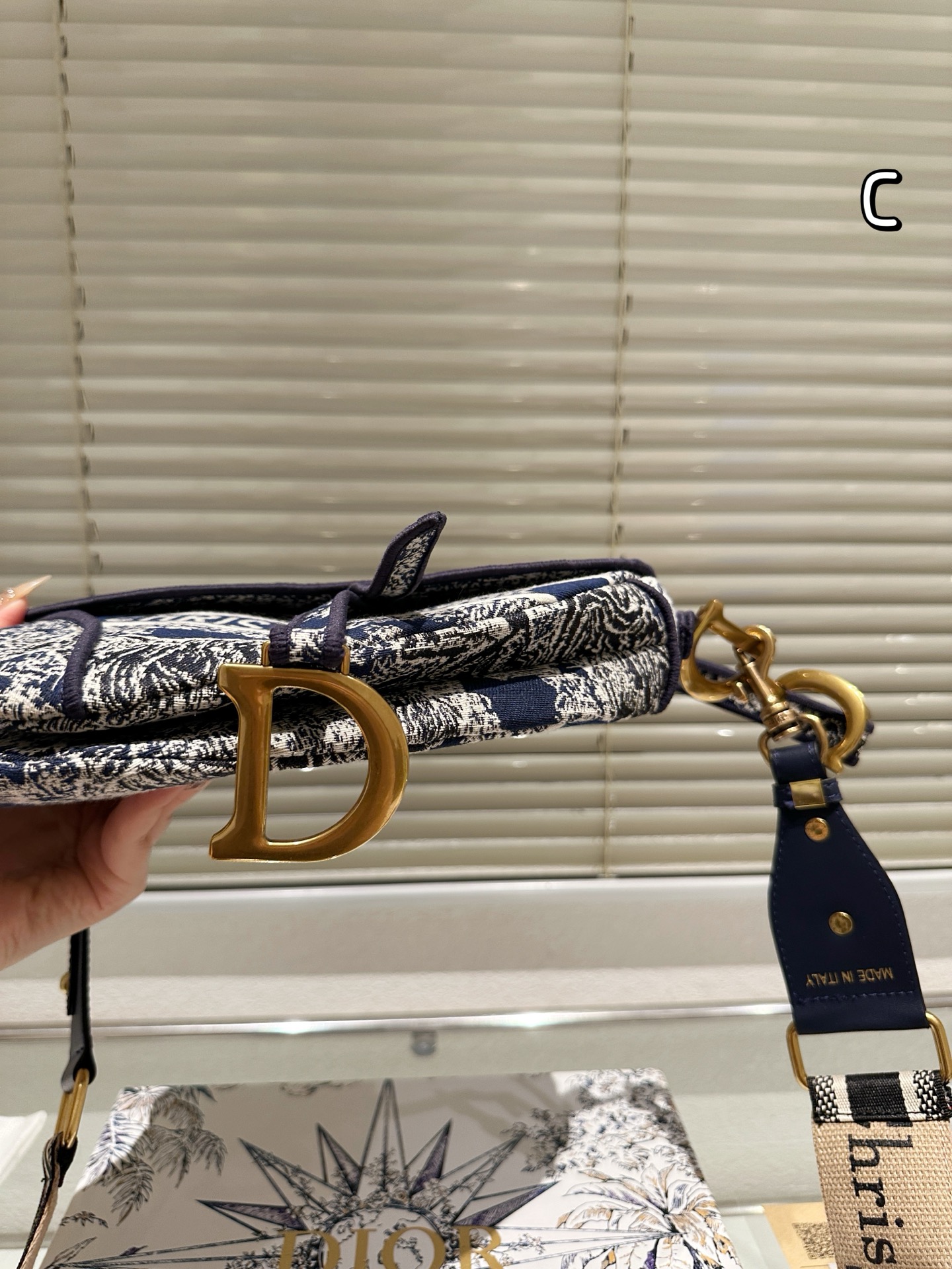 Dior Saddle Bag