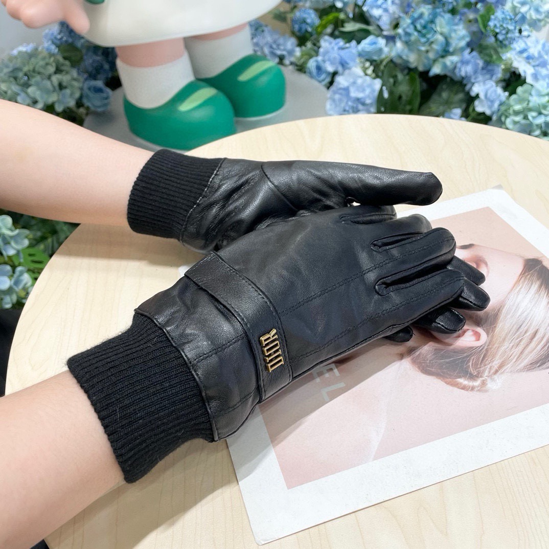 Dior Gloves
