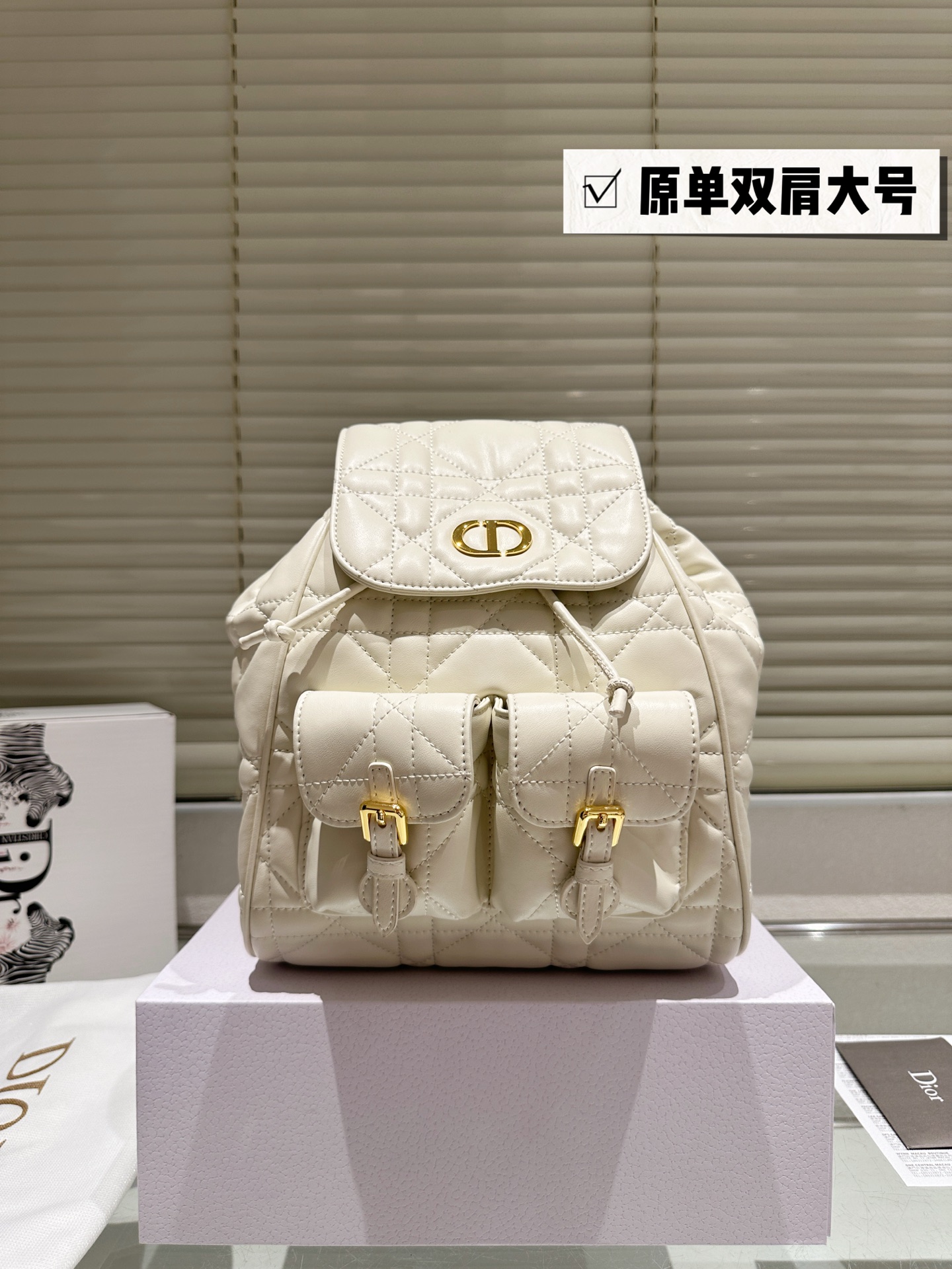 Dior Caro Shoulder Bag