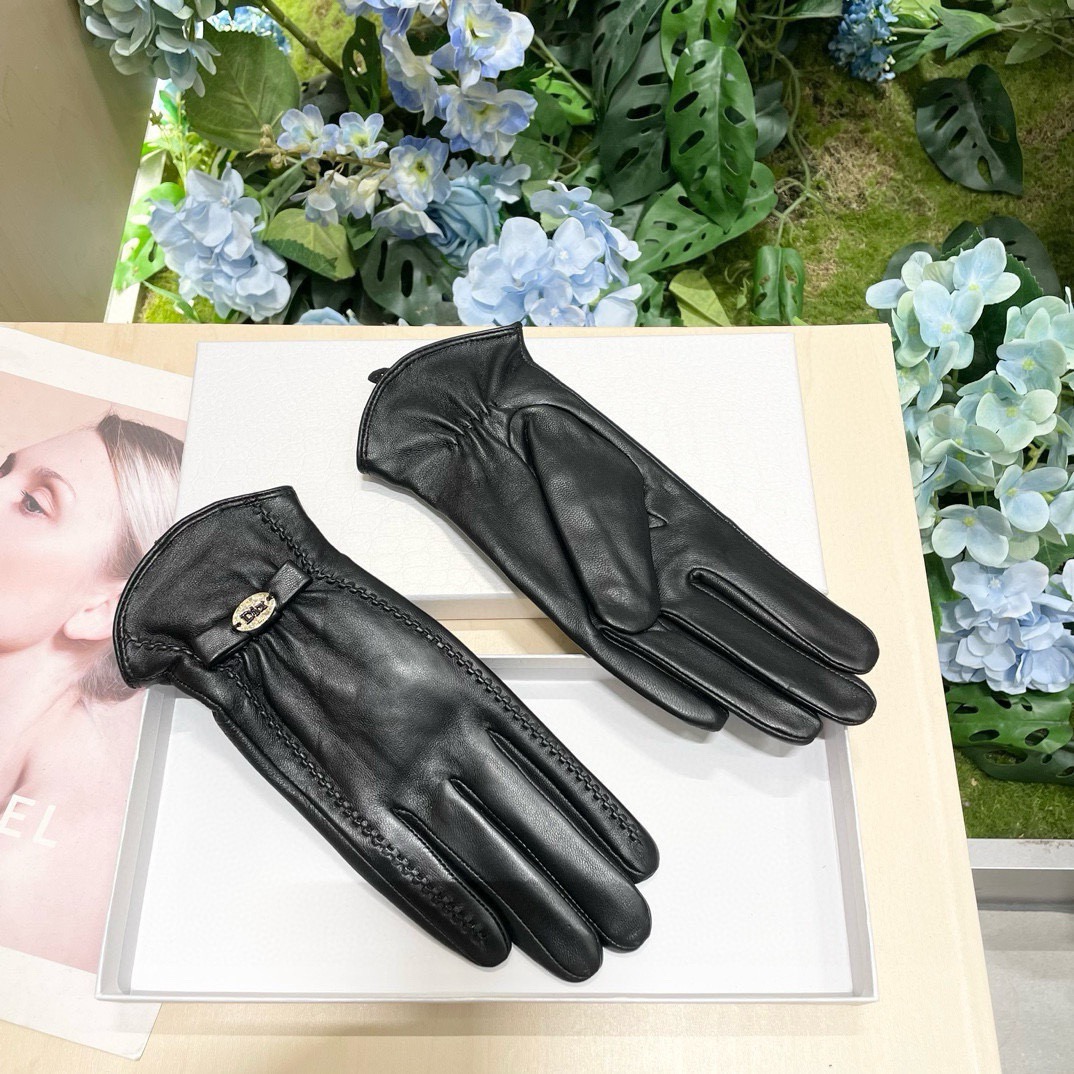 Dior Gloves