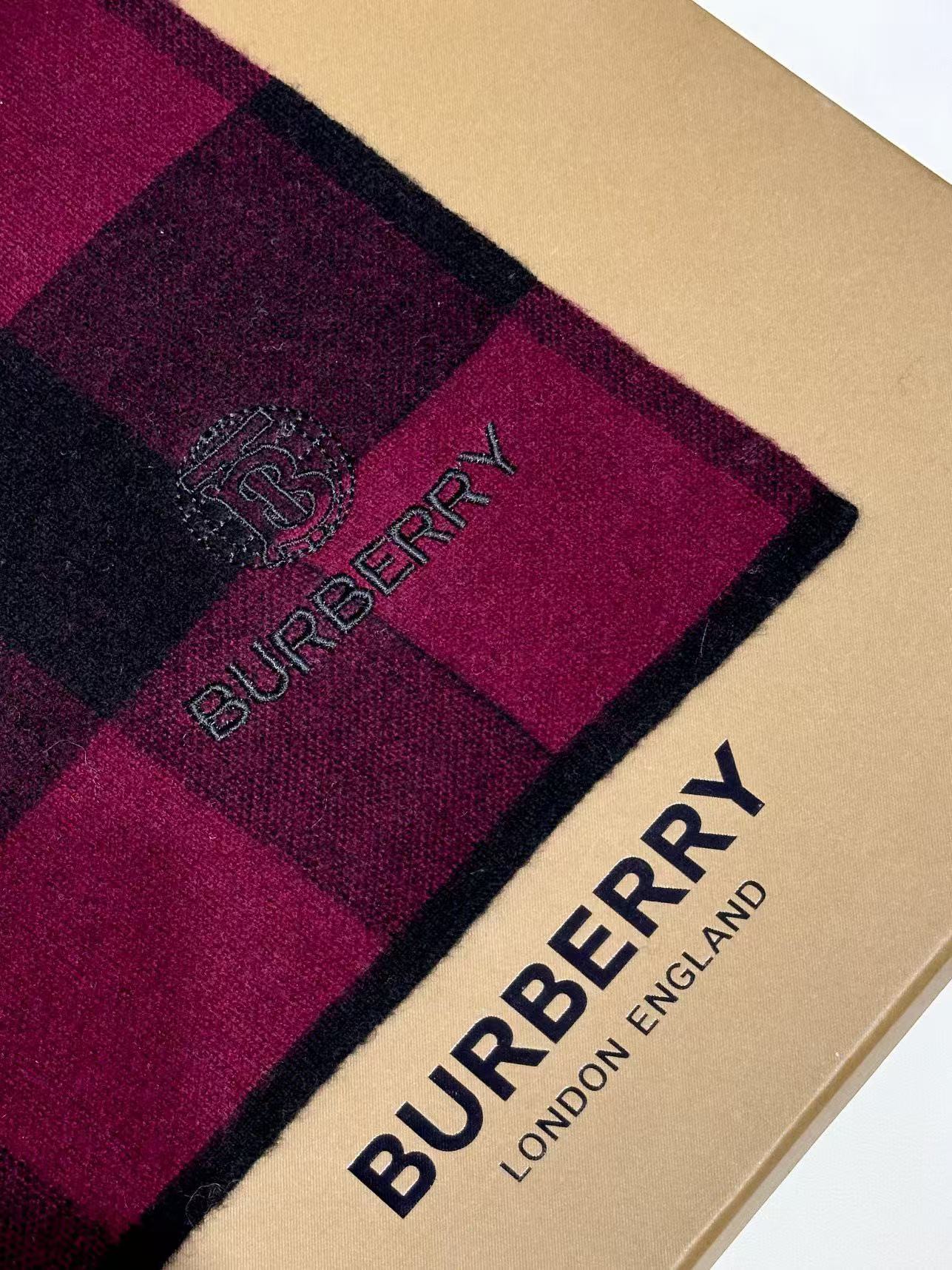 Burberry Scarves