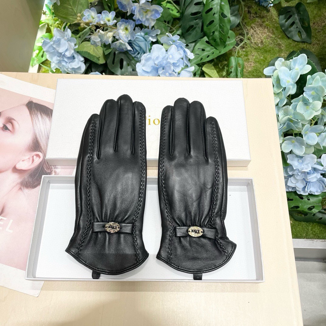 Dior Gloves