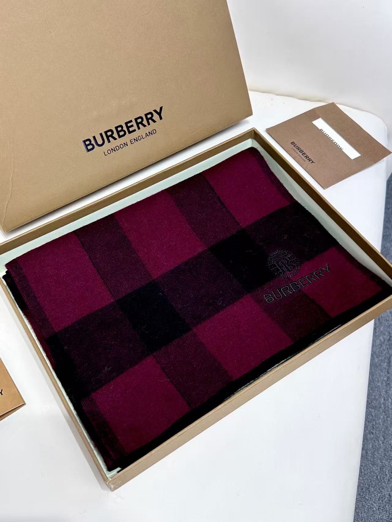 Burberry Scarves