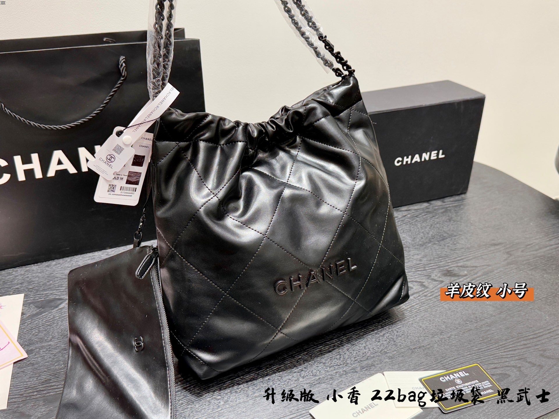 Chanel 24C 22 bag