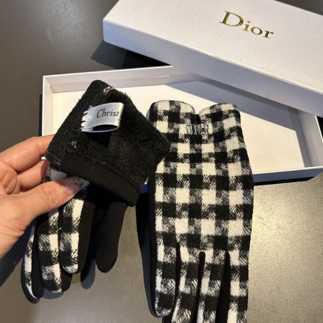 Dior Gloves
