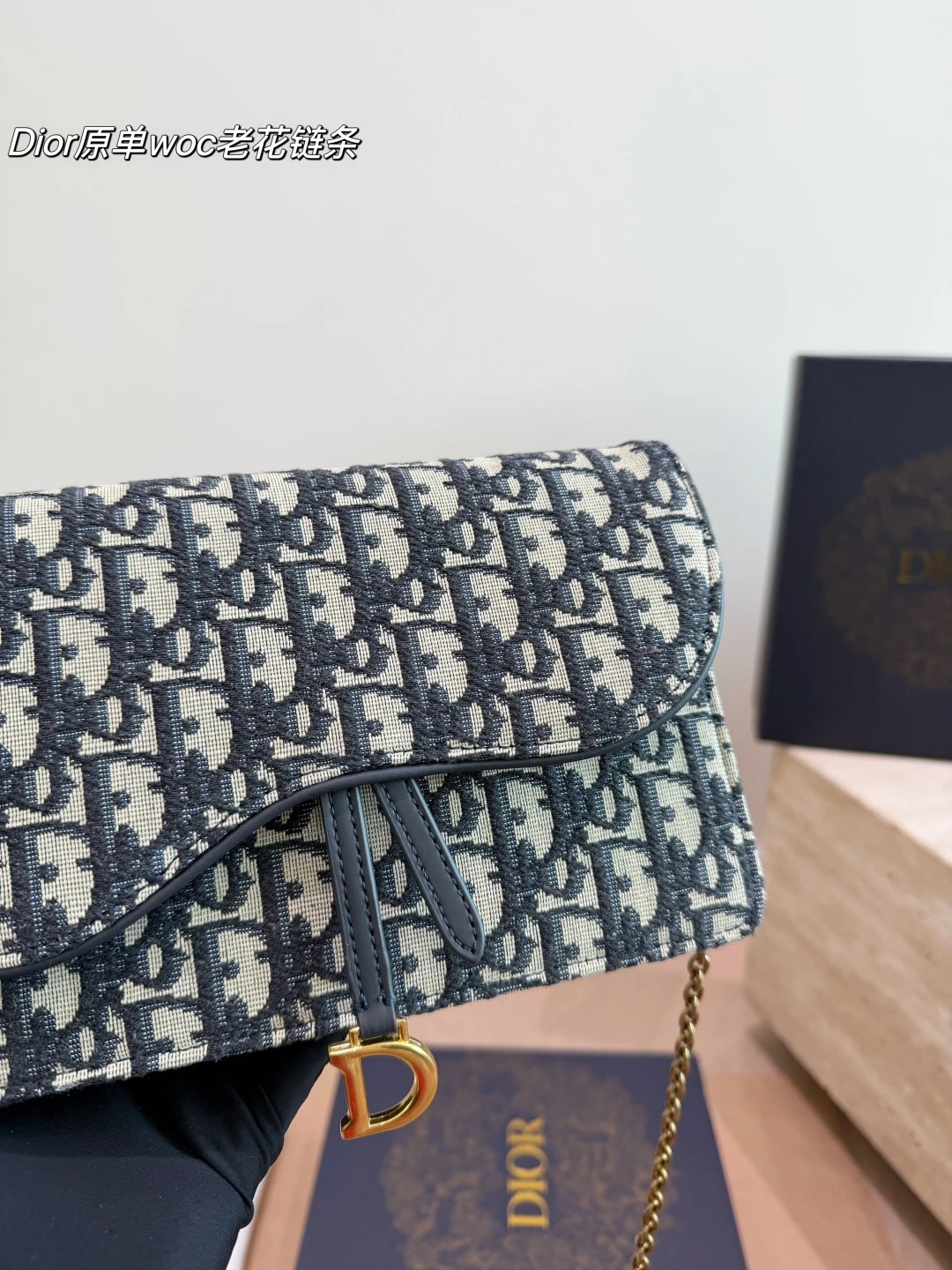 Dior Woc Chain Bag