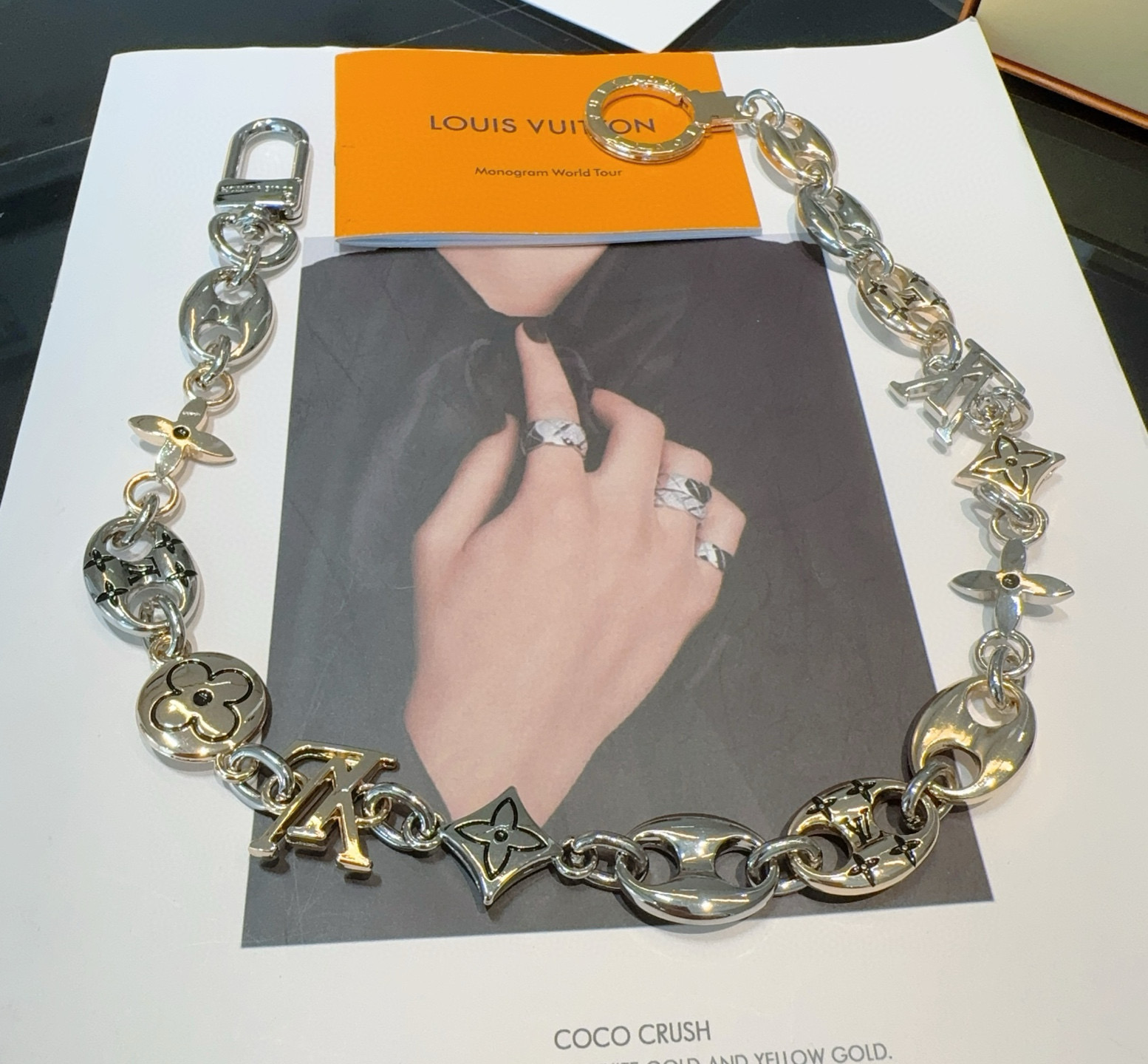 Louis Vuitton Charms