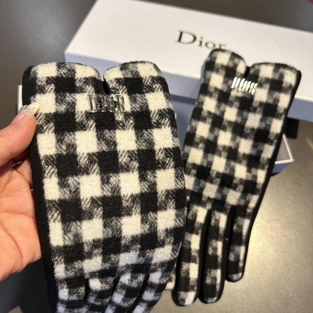Dior Gloves