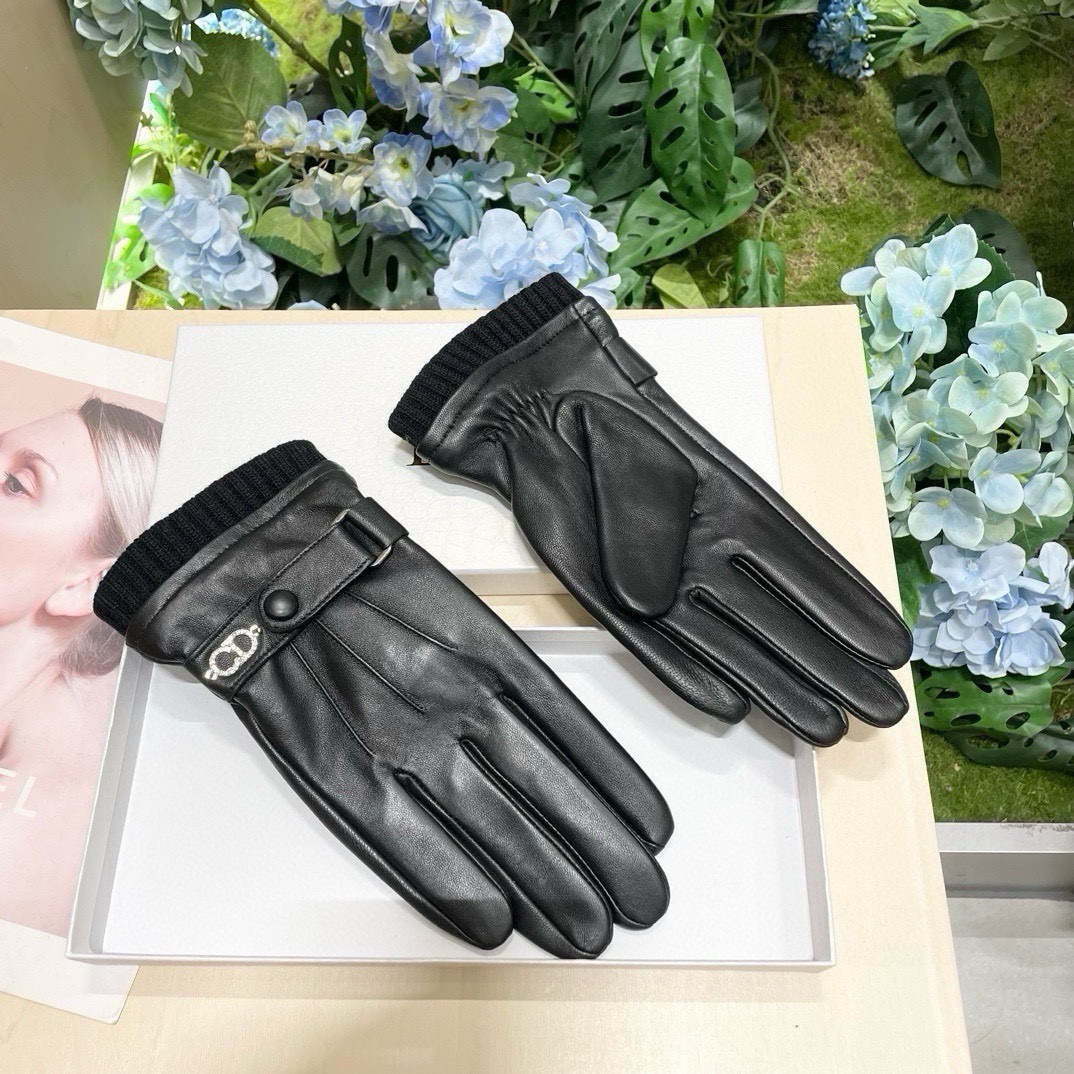 Dior Gloves