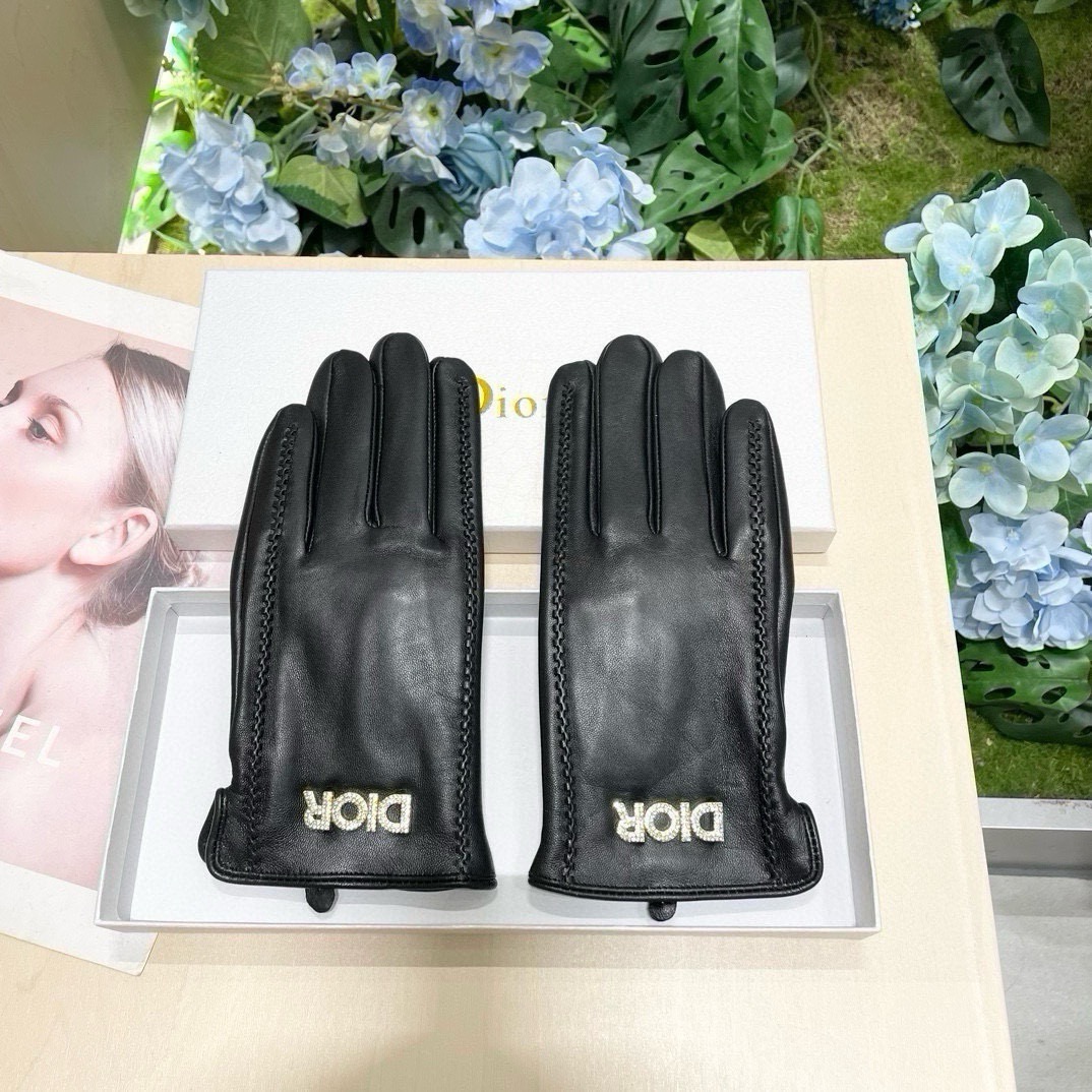 Dior Gloves