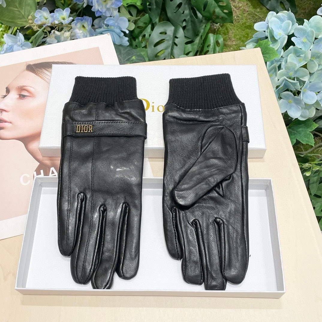 Dior Gloves