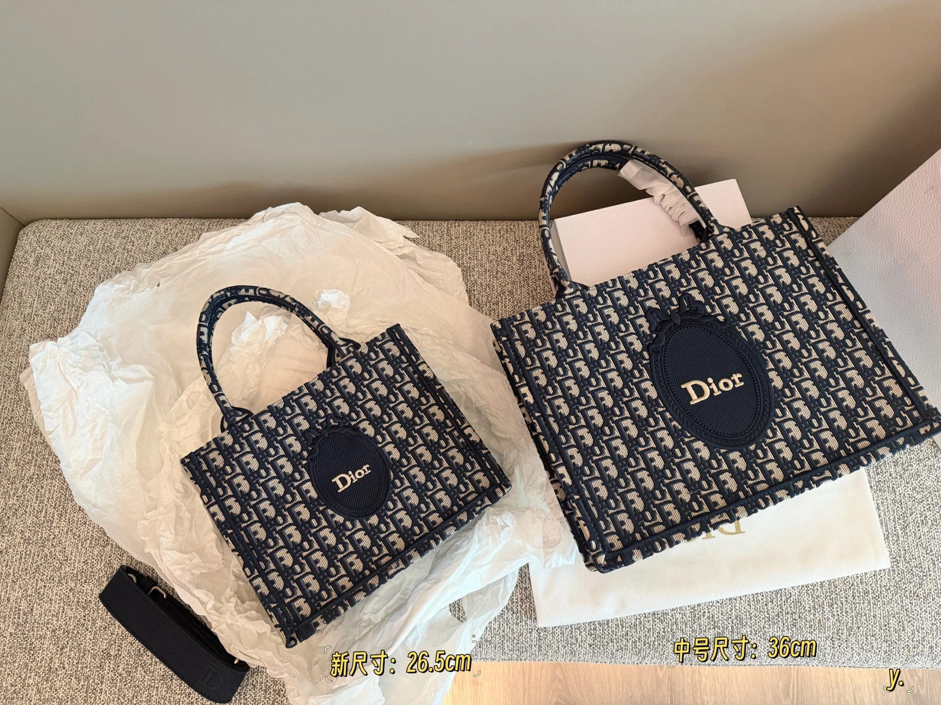 Dior Tote Bag
