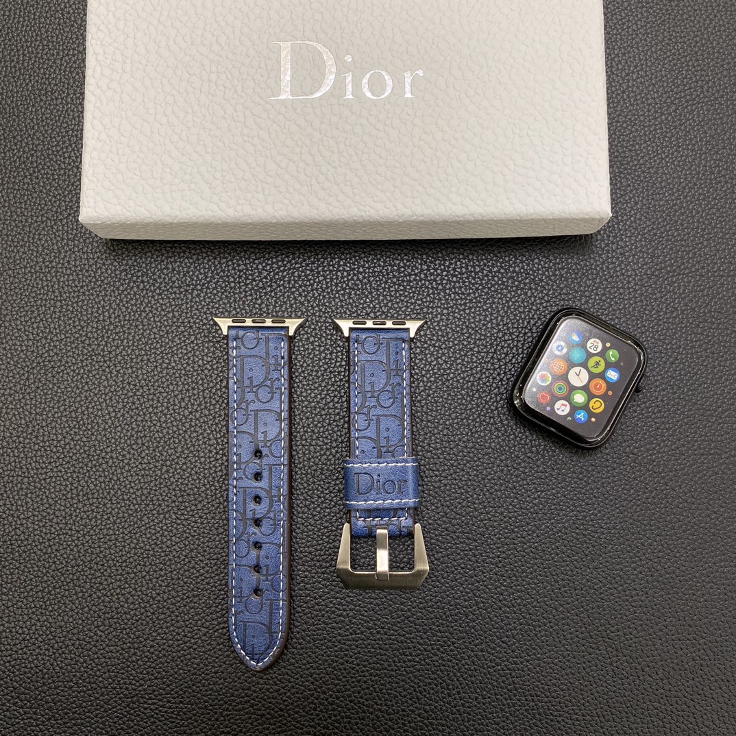 Dior Watchband