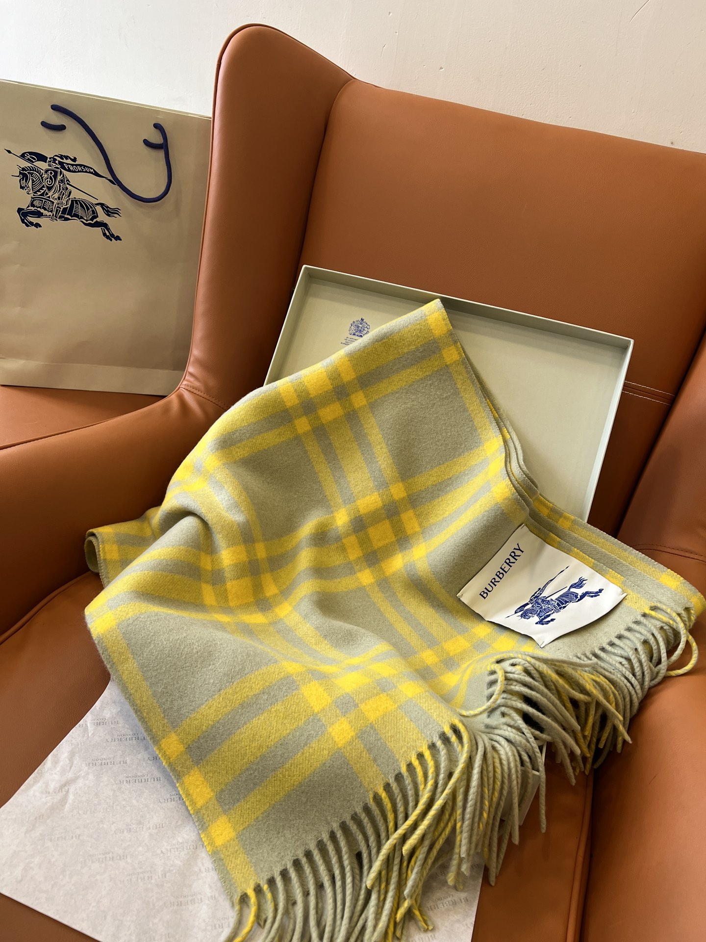 Burberry Scarves