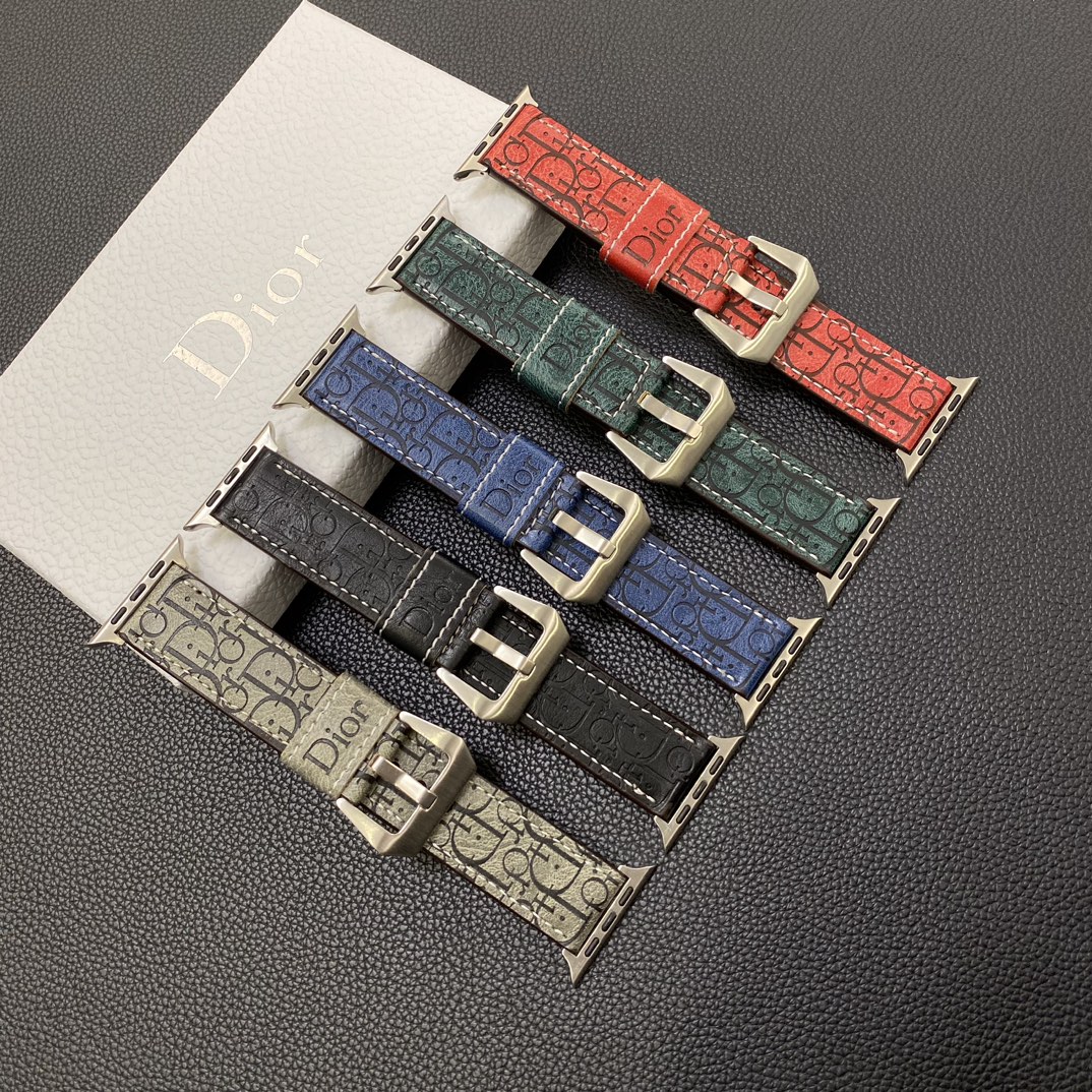 Dior Watchband