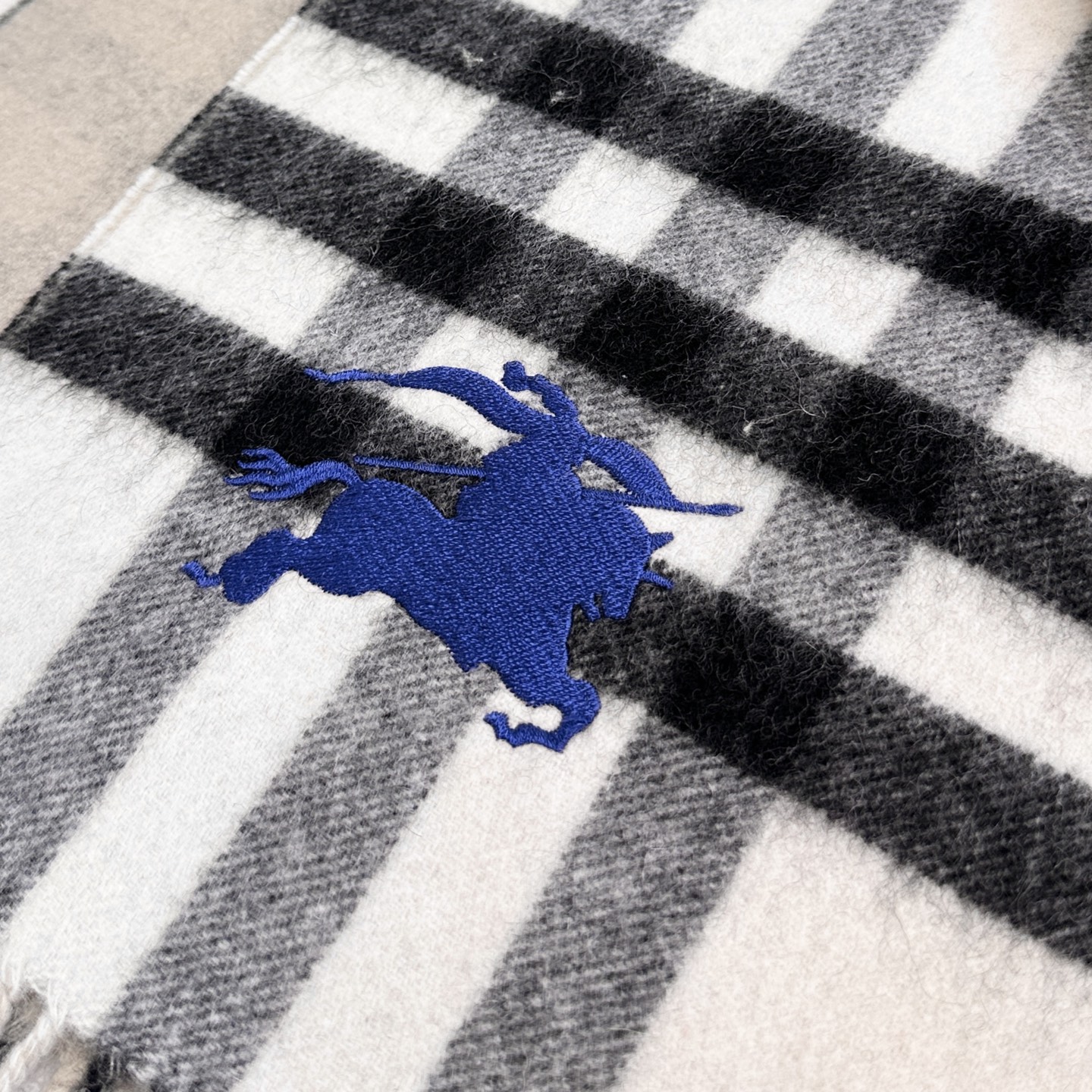 Burberry Scarves