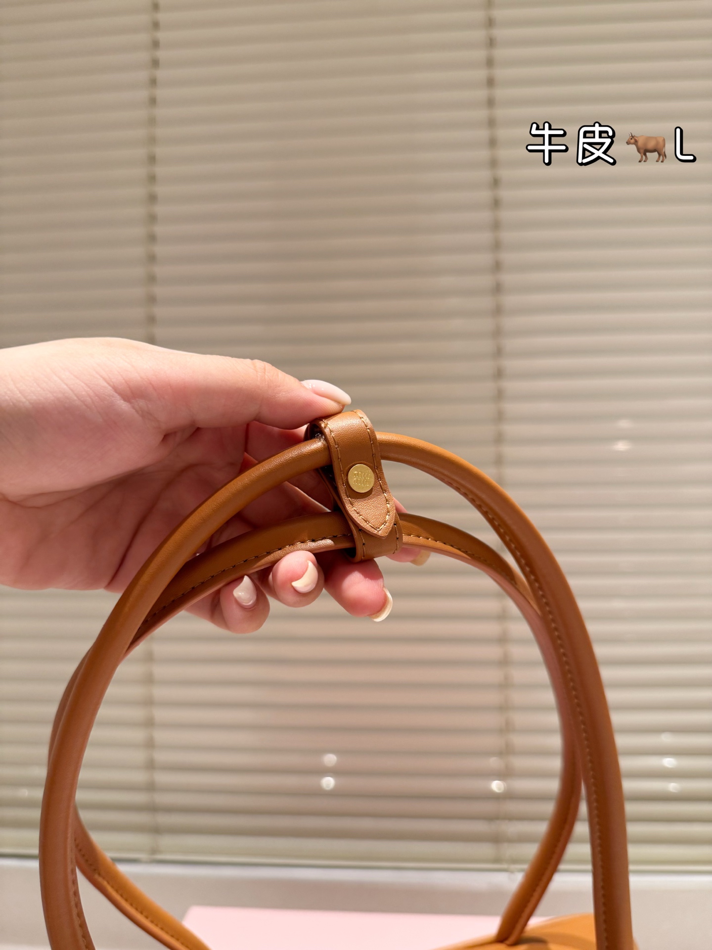 Miumiu Handle Bag