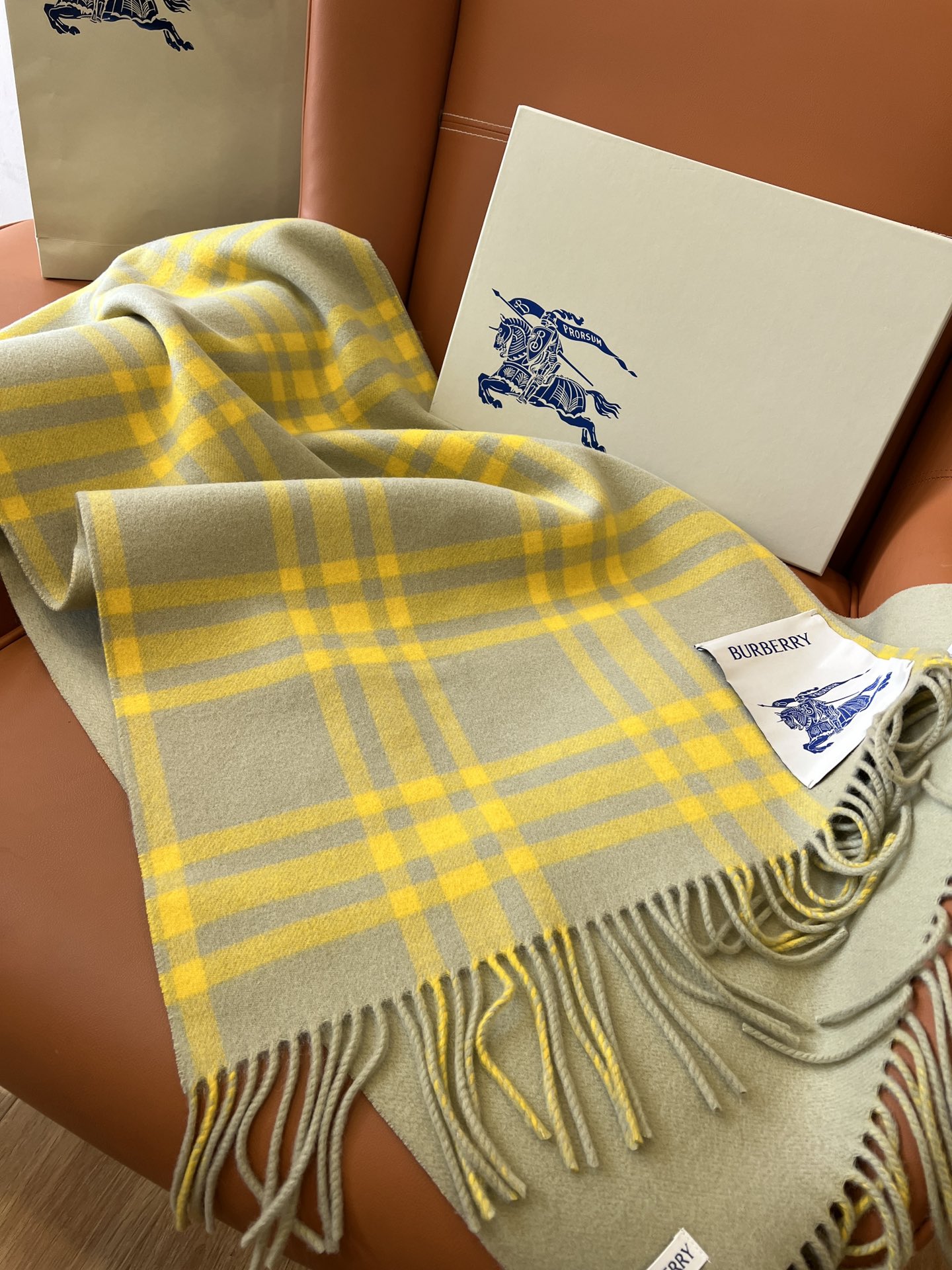 Burberry Scarves
