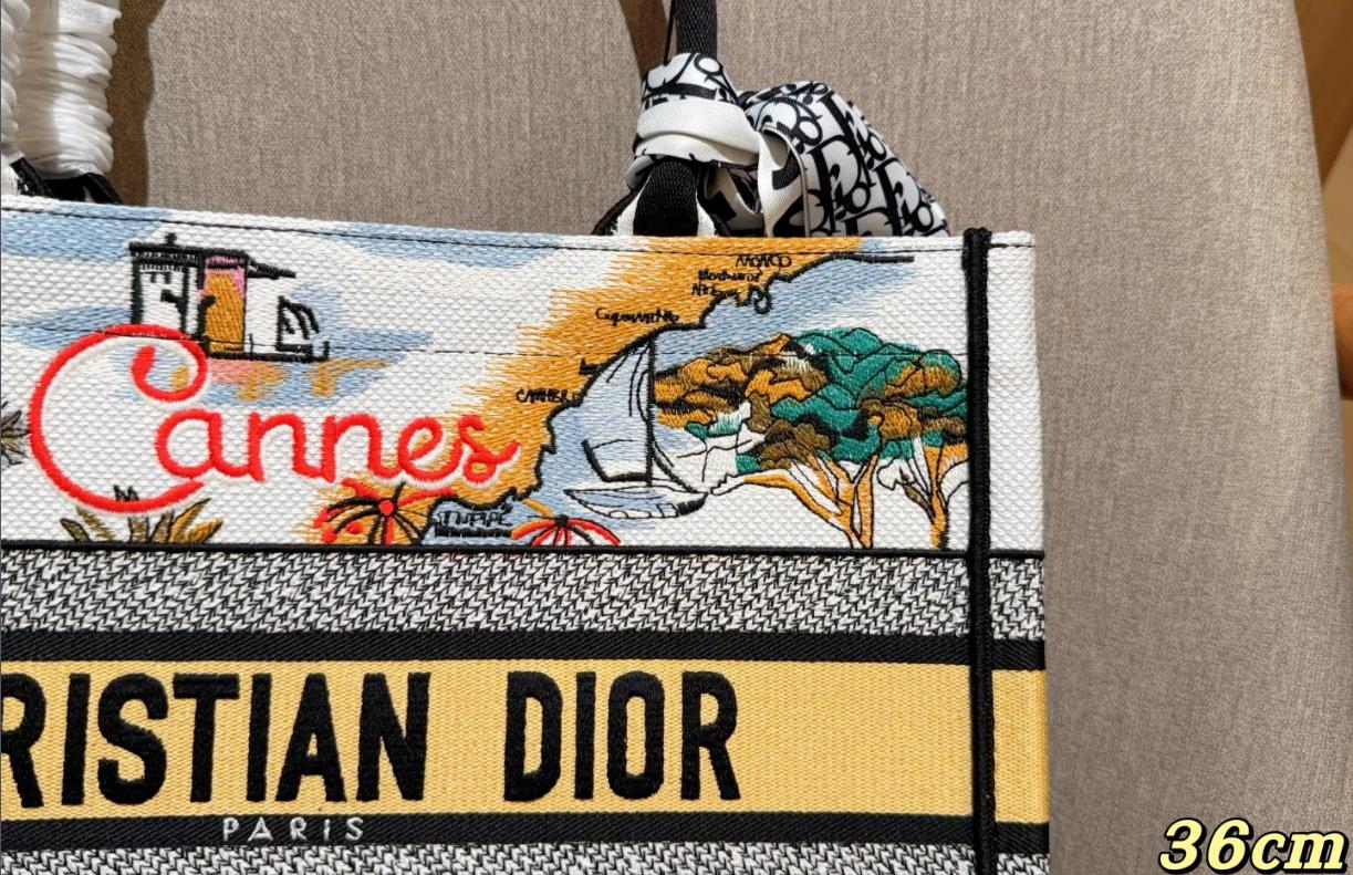 Dior Book Tote Bag Medium Large Size