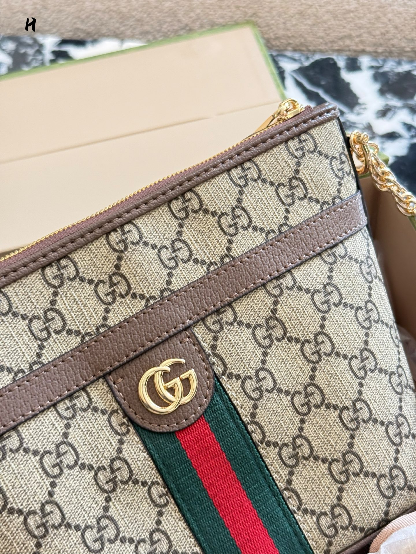 Gucci Ophidia Hobo Bag