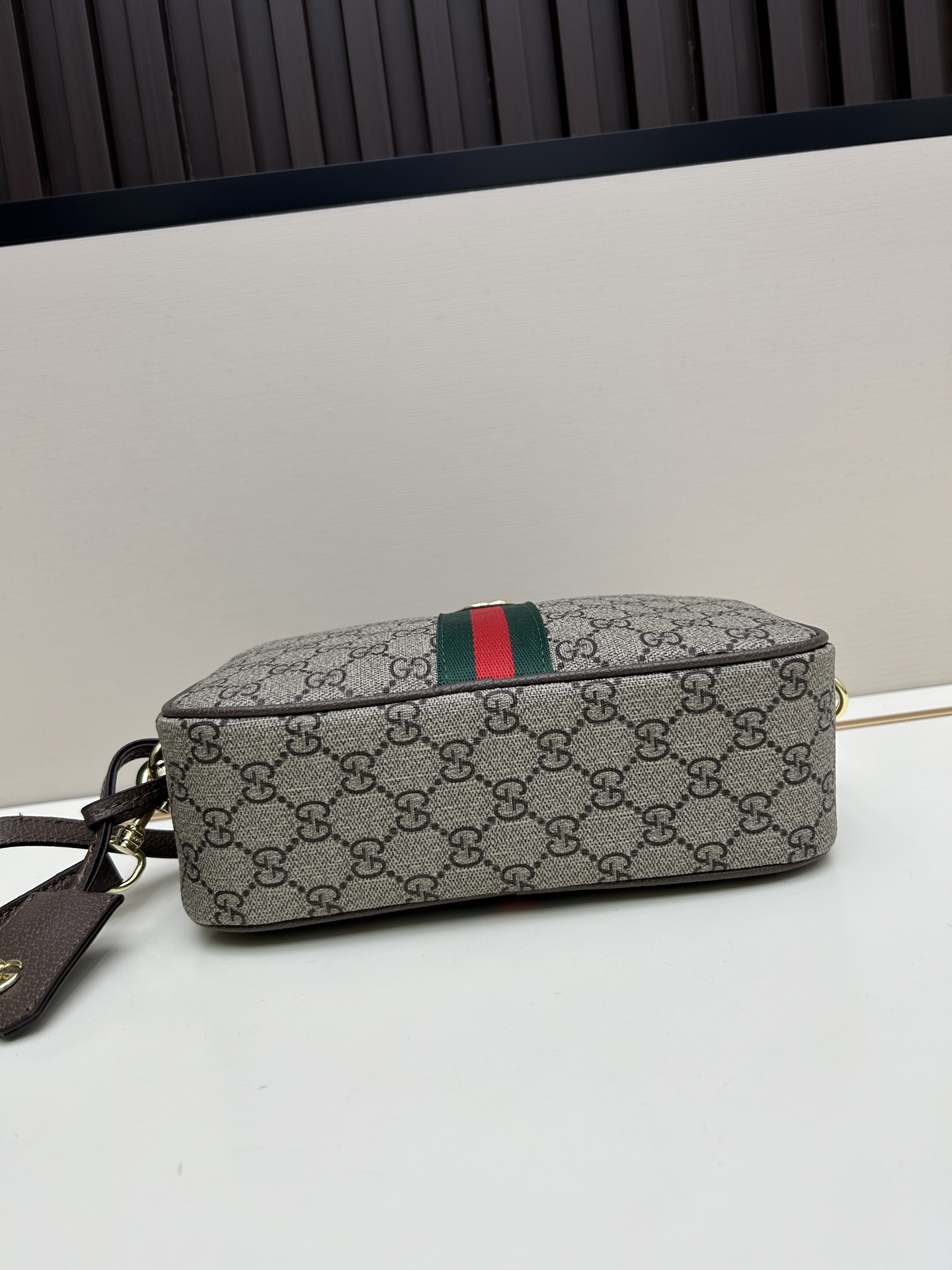 Gucci Ophidia Camera Bag