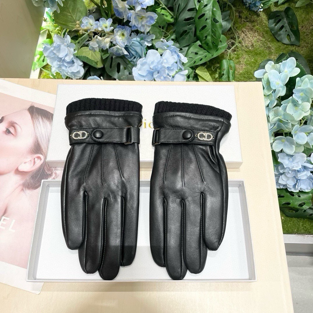 Dior Gloves