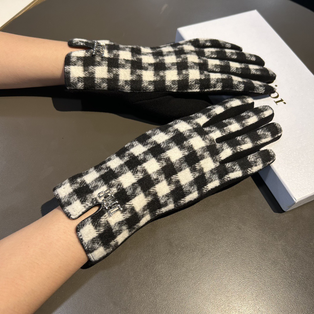 Dior Gloves