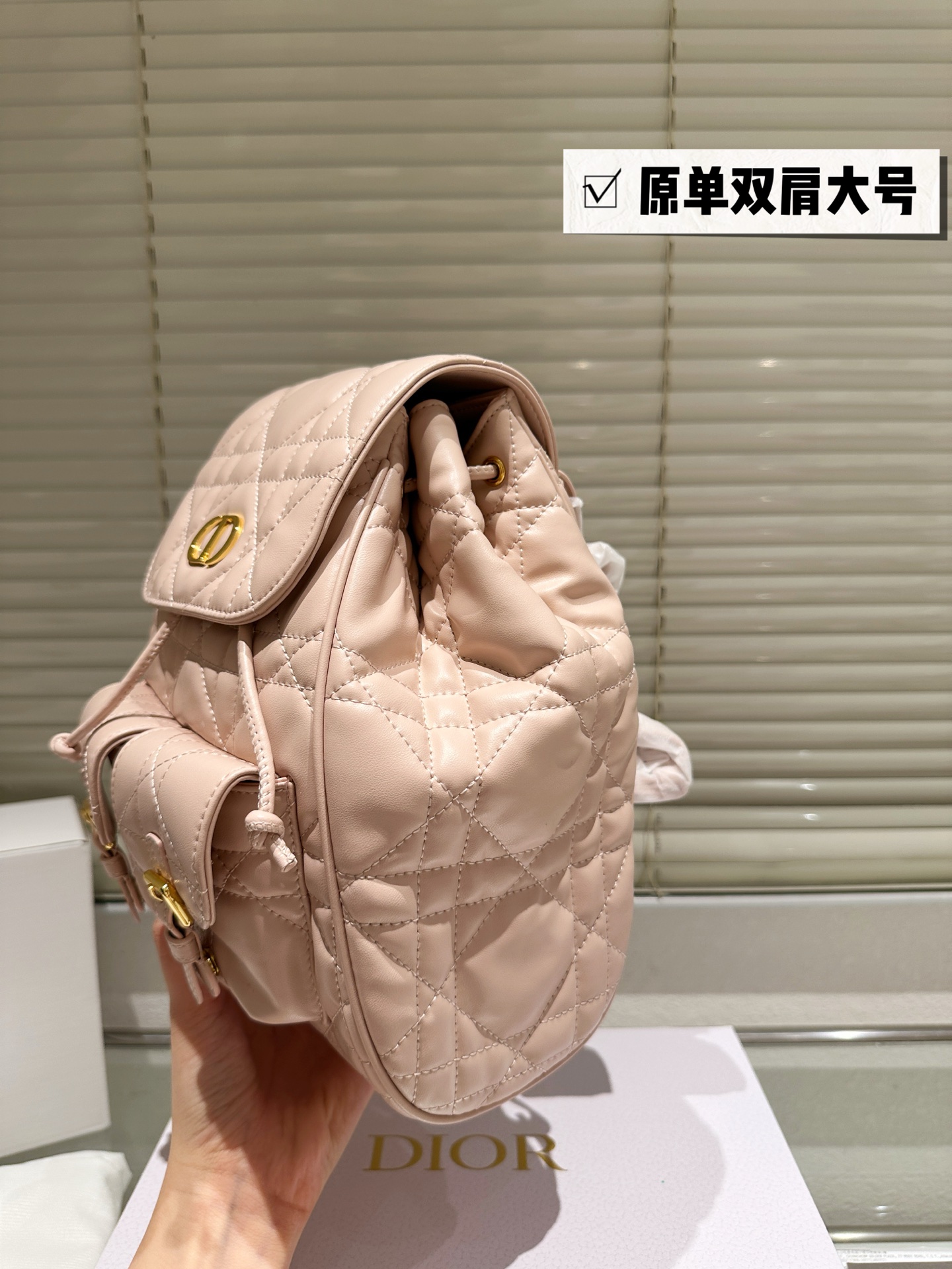 Dior Caro Shoulder Bag