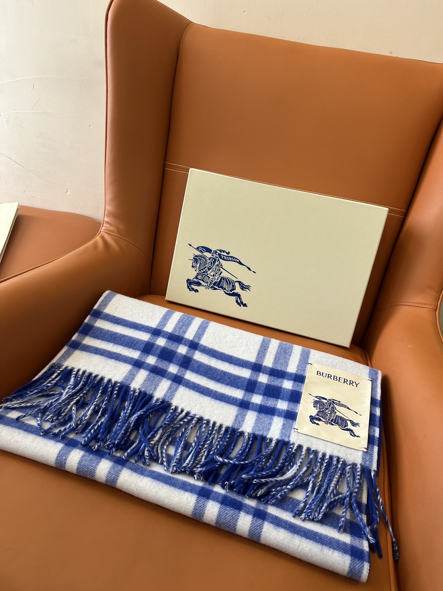 Burberry Scarves