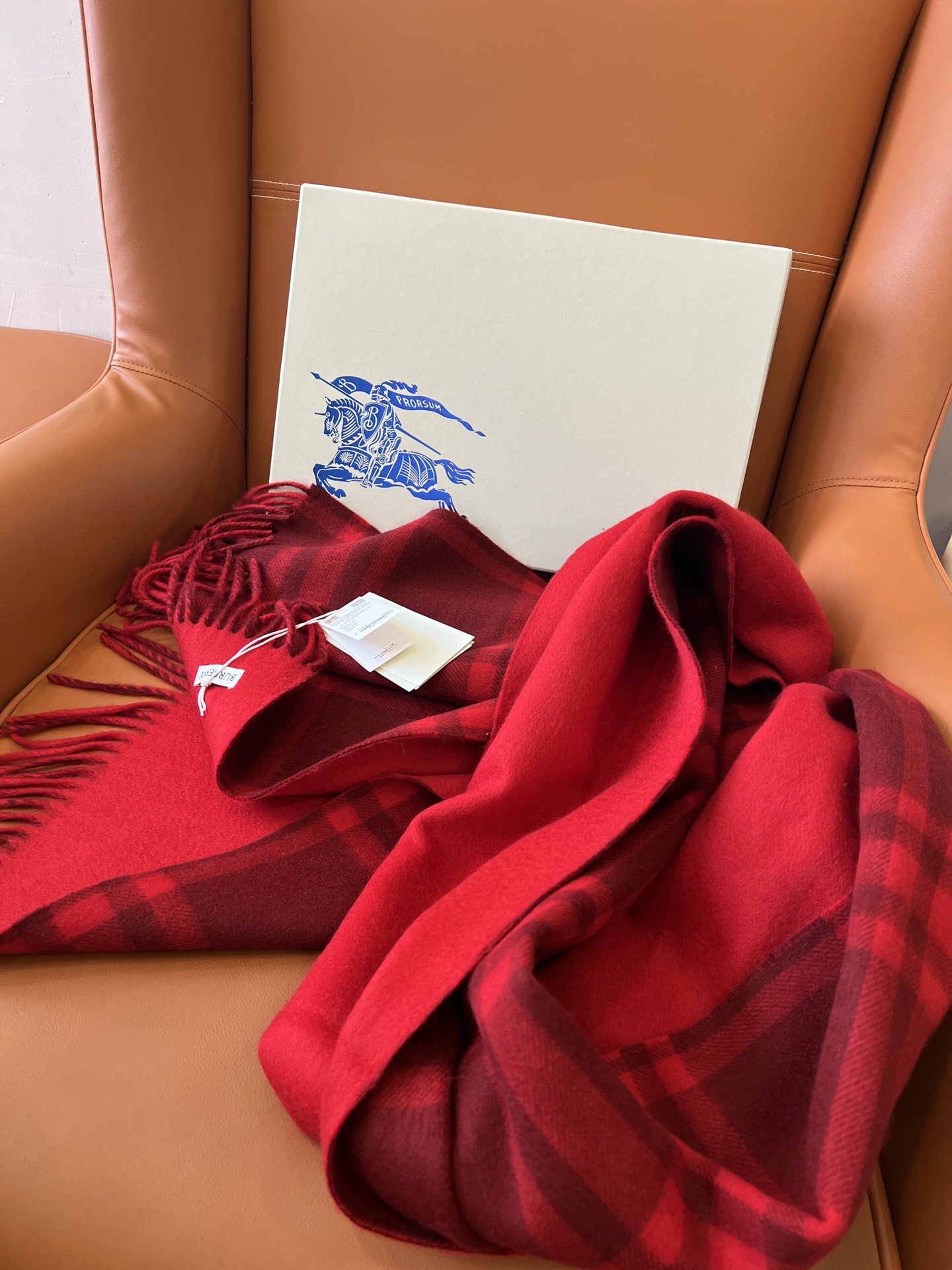 Burberry Scarves