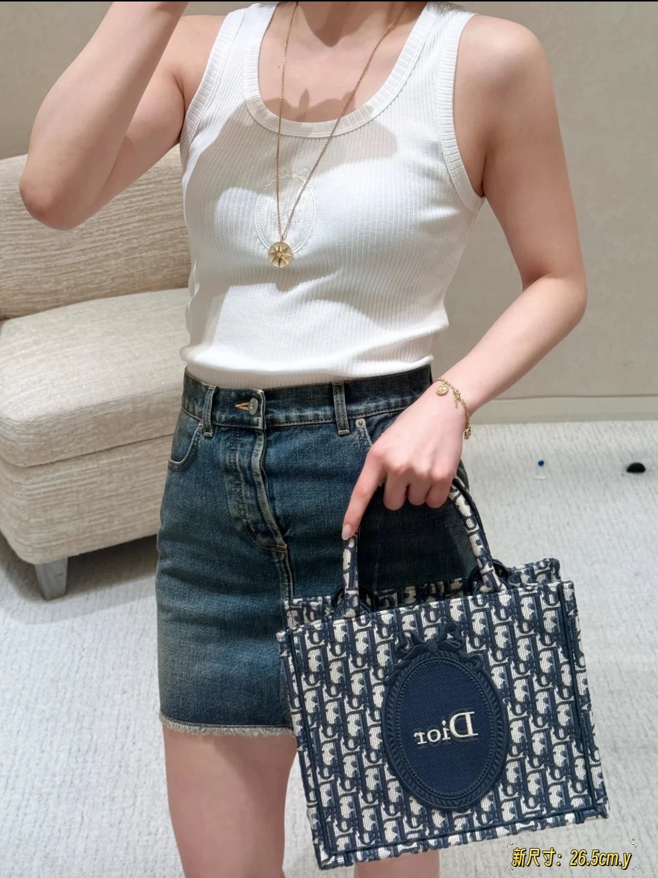 Dior Tote Bag