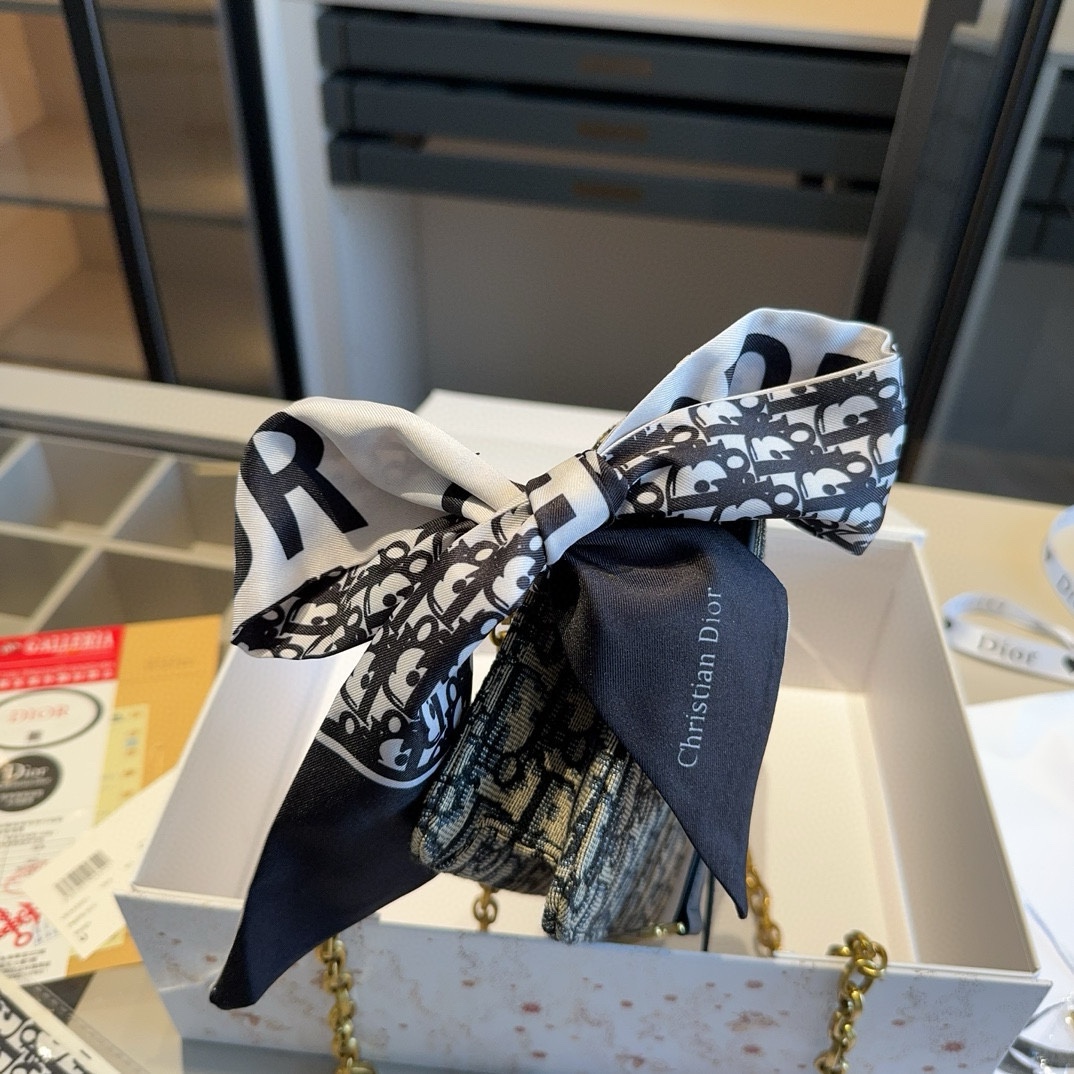 Dior Saddle Woc