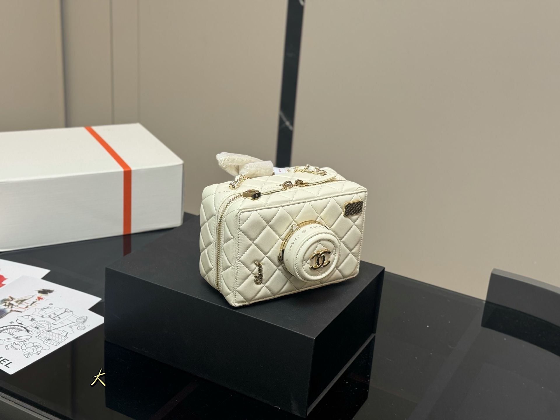 Chanel Camera Bag