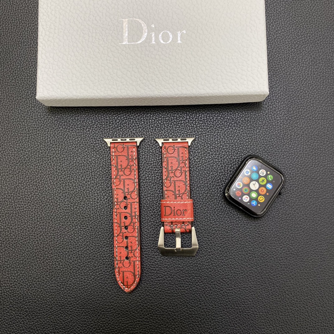 Dior Watchband