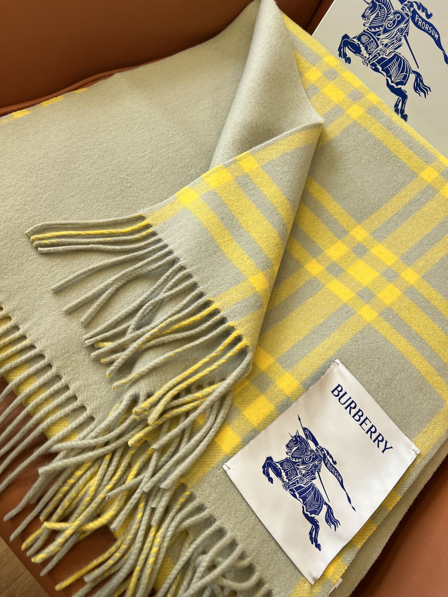 Burberry Scarves