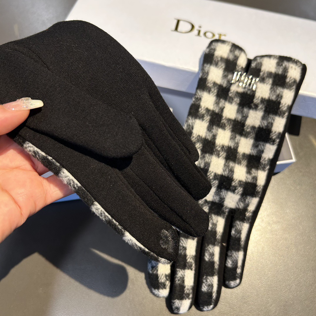 Dior Gloves