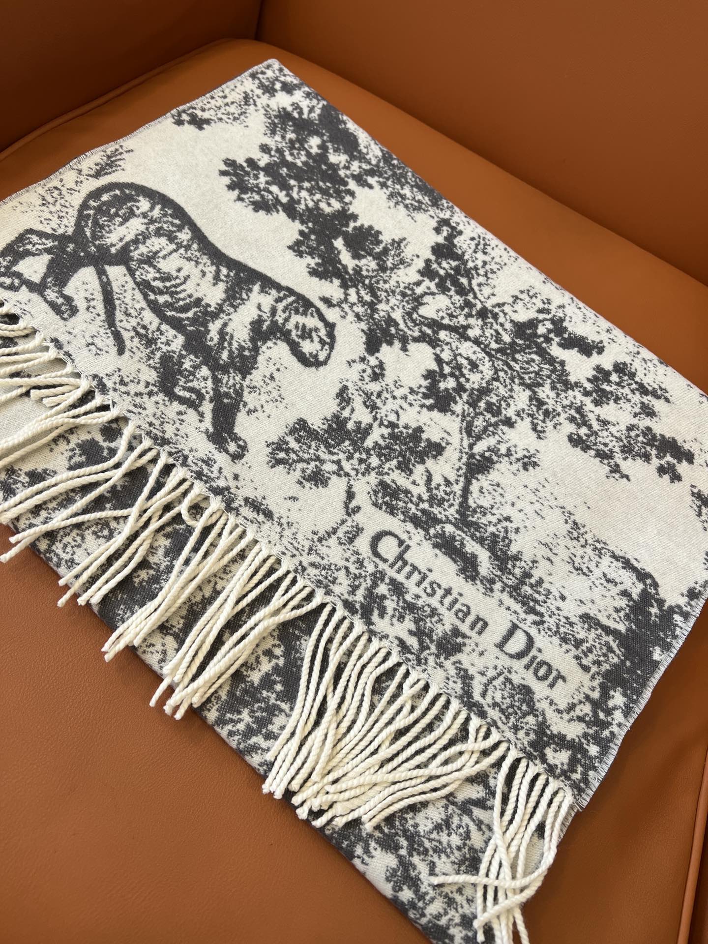 Dior Scarves