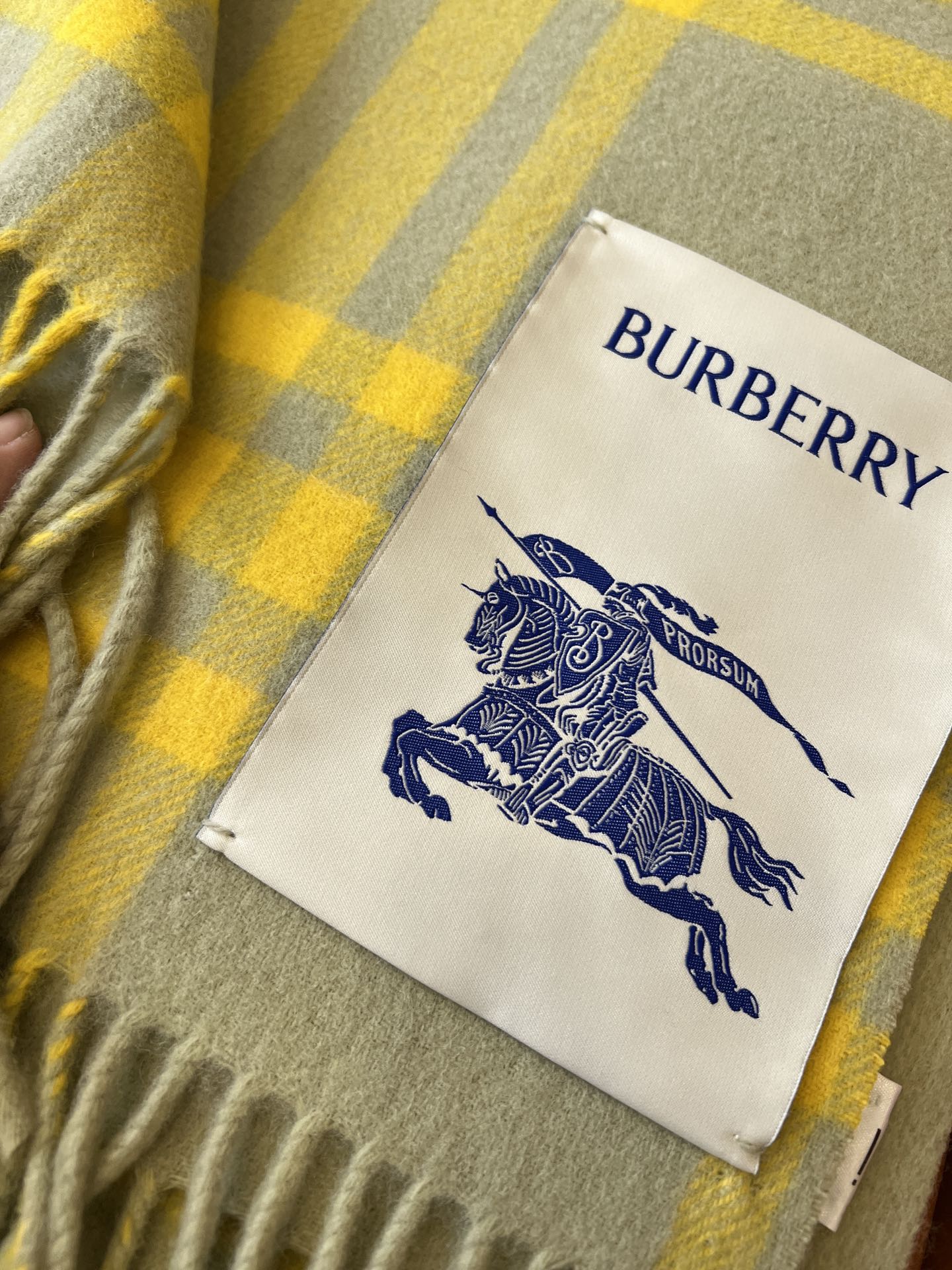 Burberry Scarves
