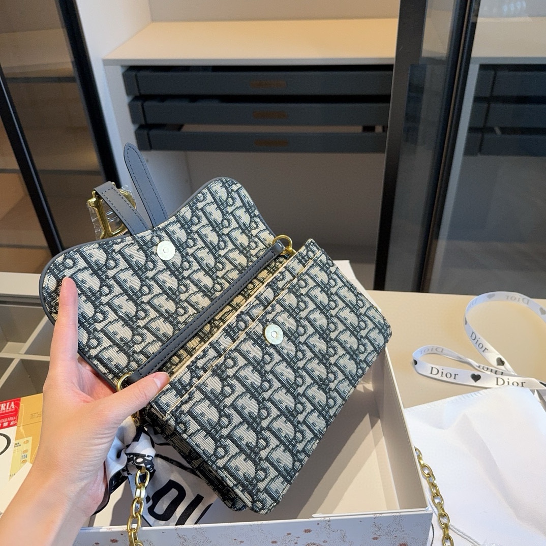 Dior Saddle Woc