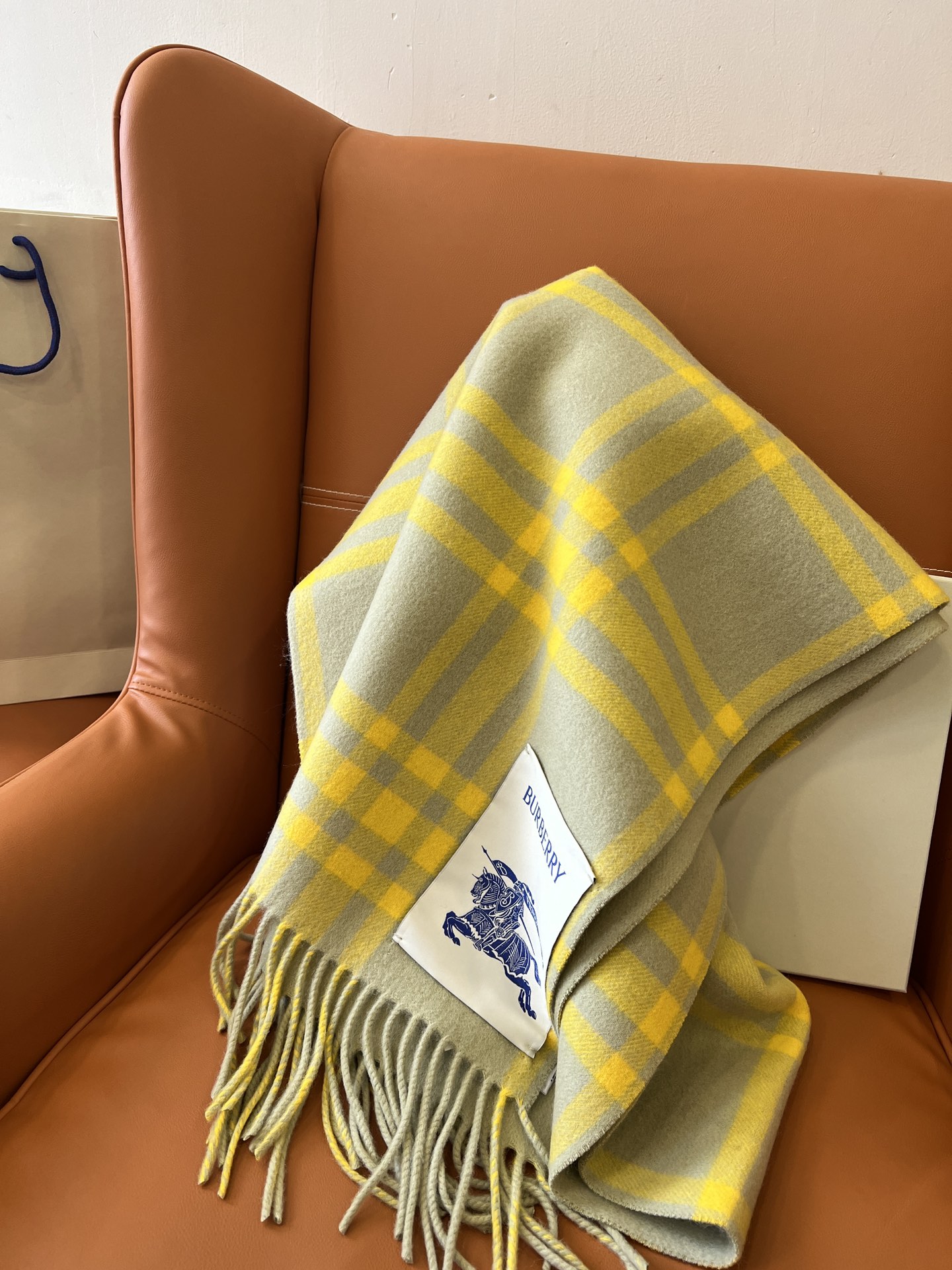 Burberry Scarves