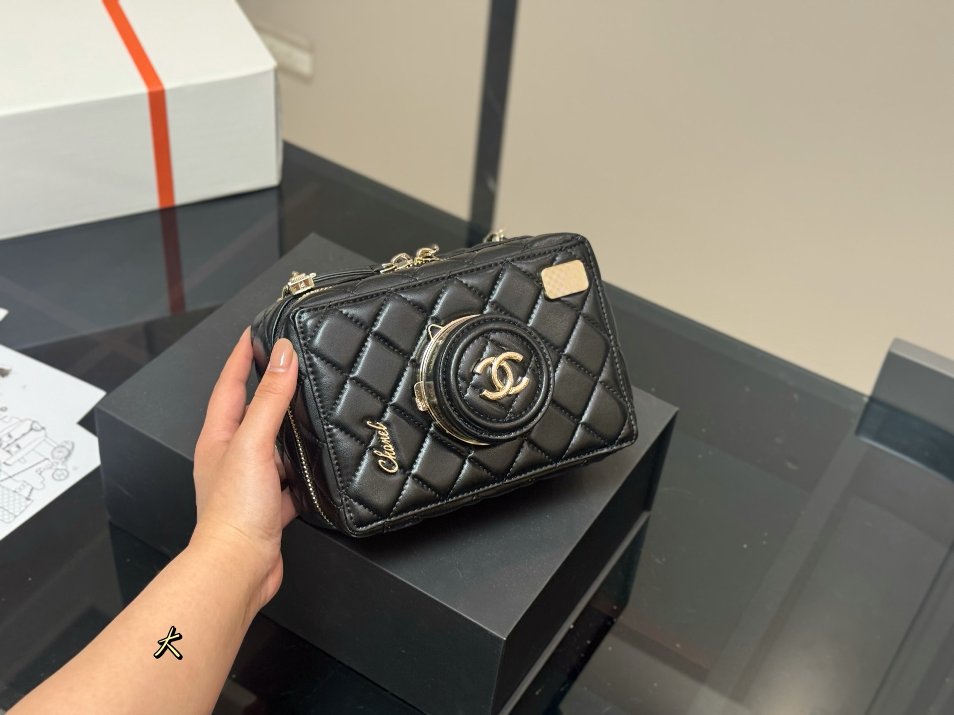 Chanel Camera Bag