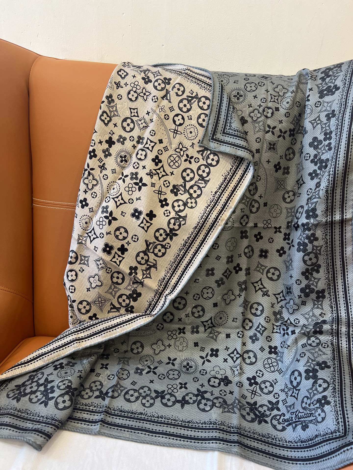 Louis Vuitton Scarves