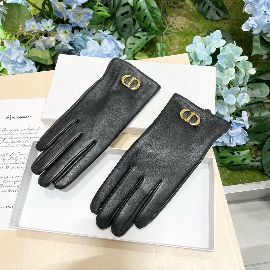 Dior Gloves
