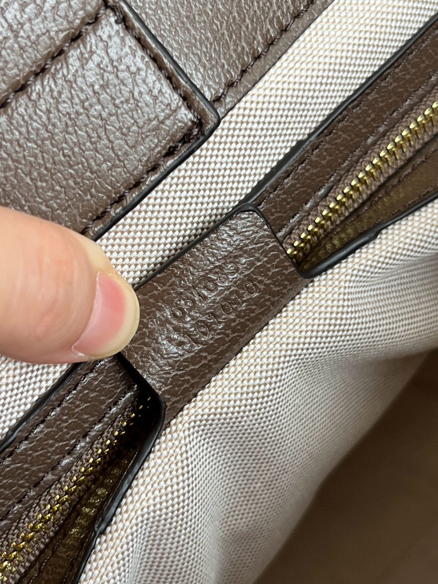 GG Ophidia Tote Bag