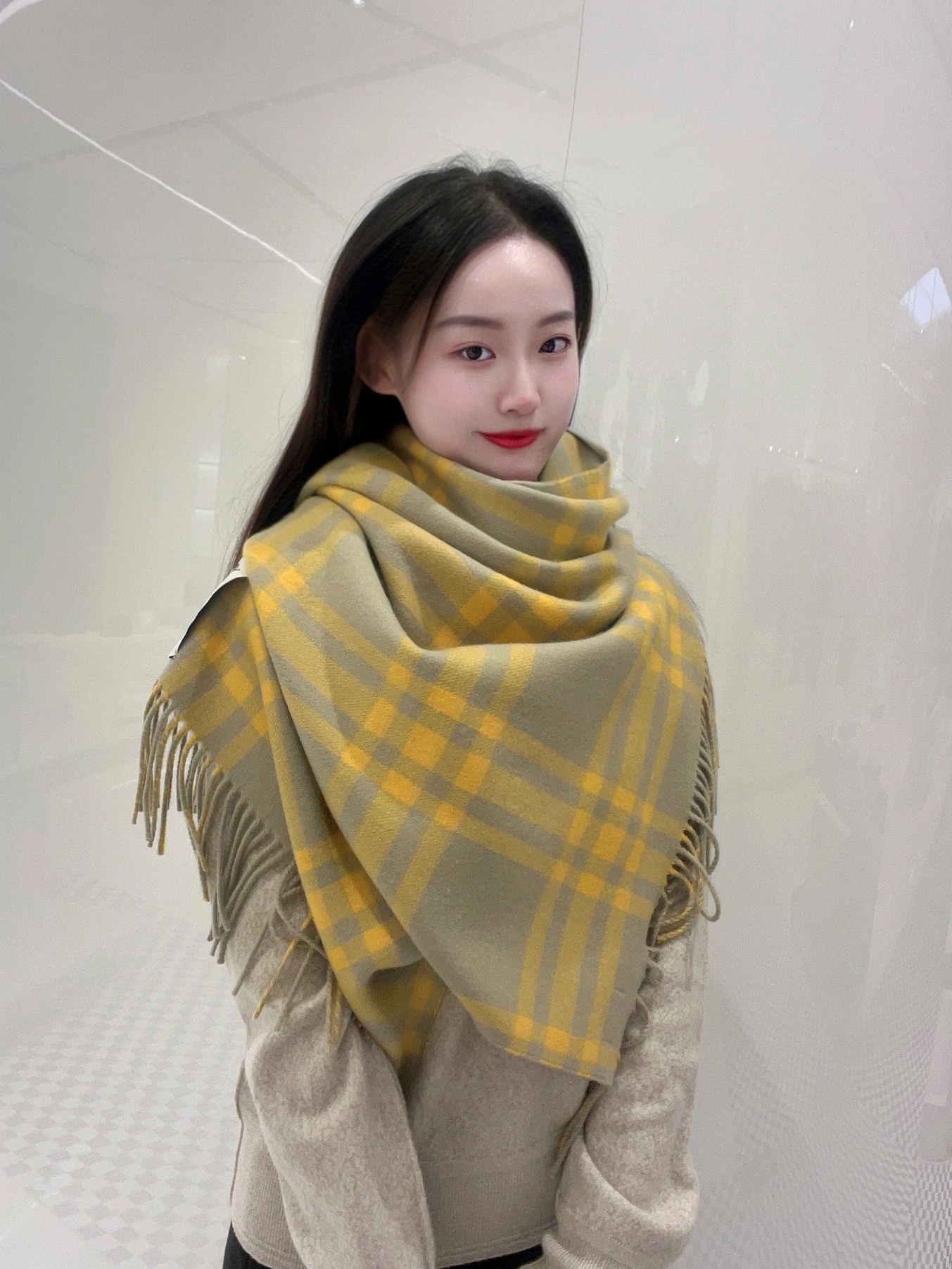 Burberry Scarves