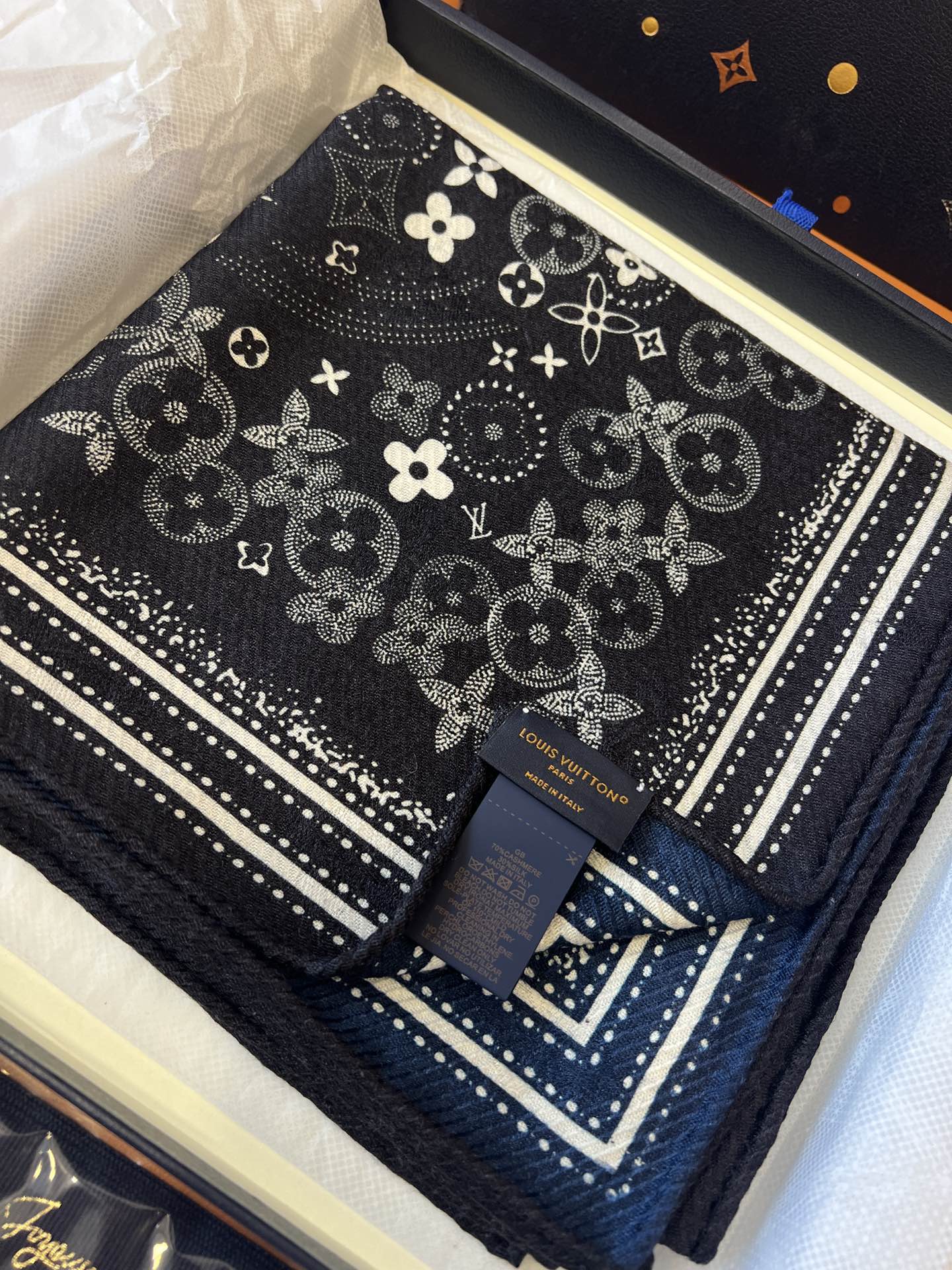 Louis Vuitton Scarves