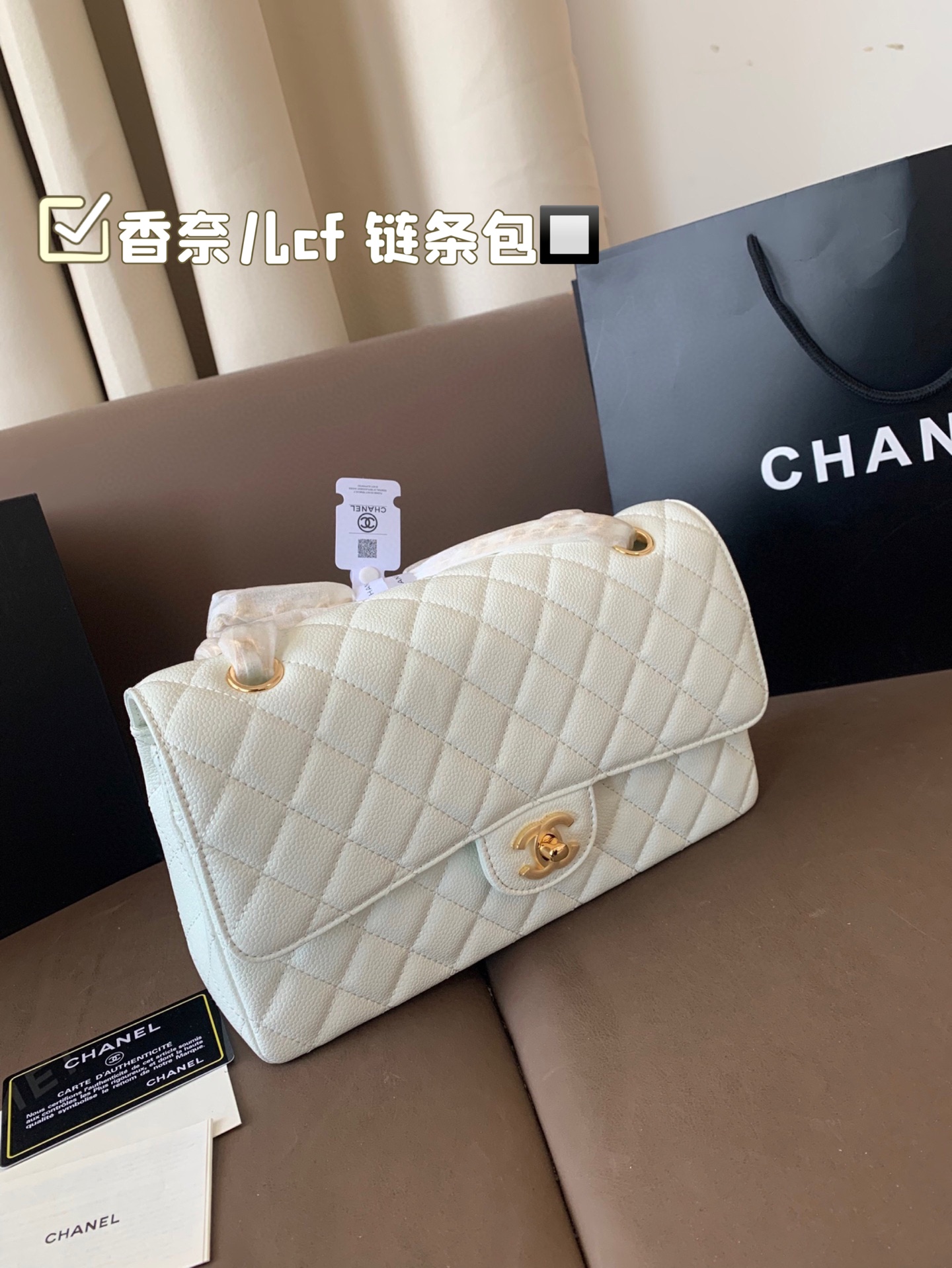 Chanel Classic Flap Bag Handbag