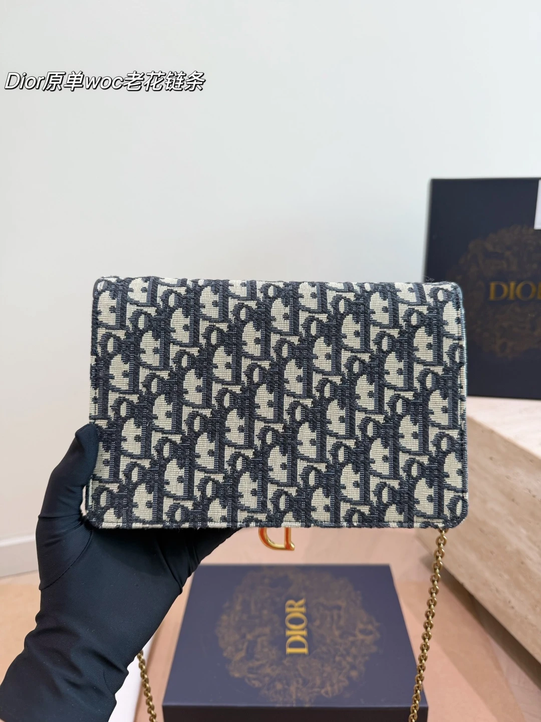 Dior Woc Chain Bag