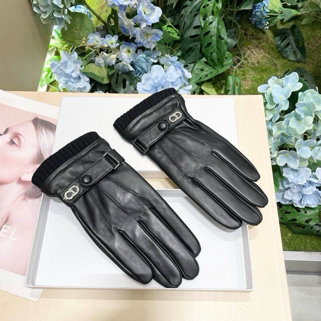 Dior Gloves