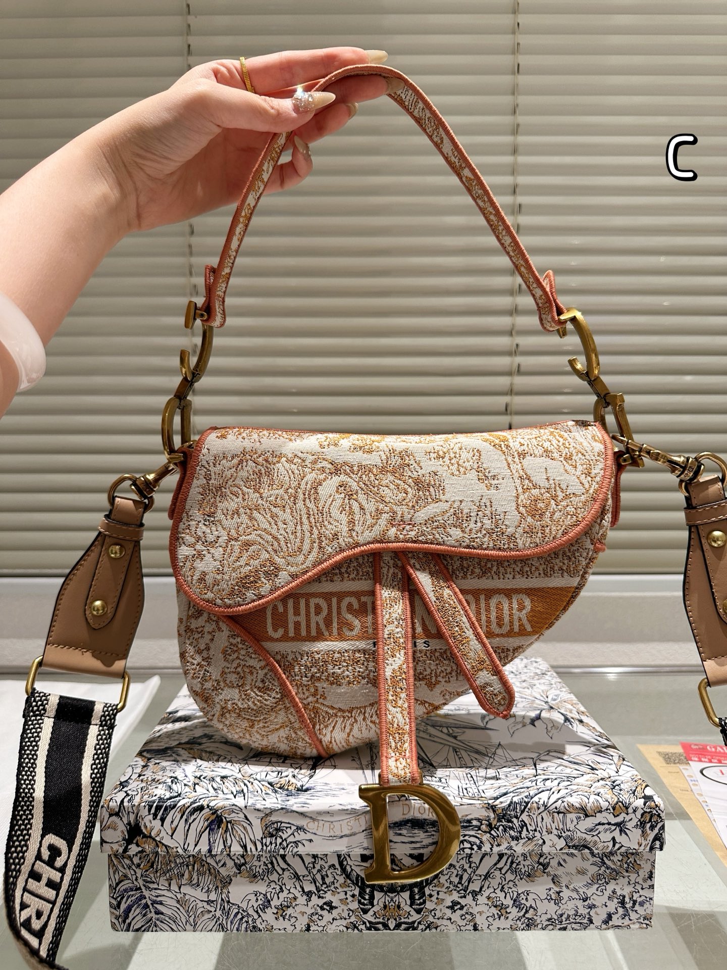 Dior Saddle Bag